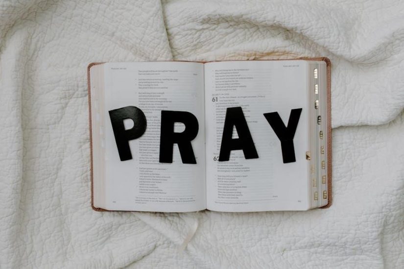bible summary pdf