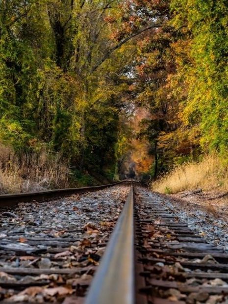 linear guide rail and carriage